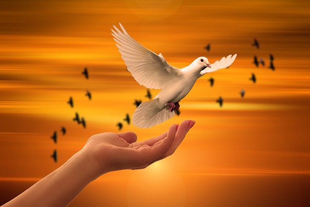 Cuidar de Si é Um Ato de Amor Mental e Espiritual